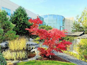 Vancouver Island University Vancouver Island University